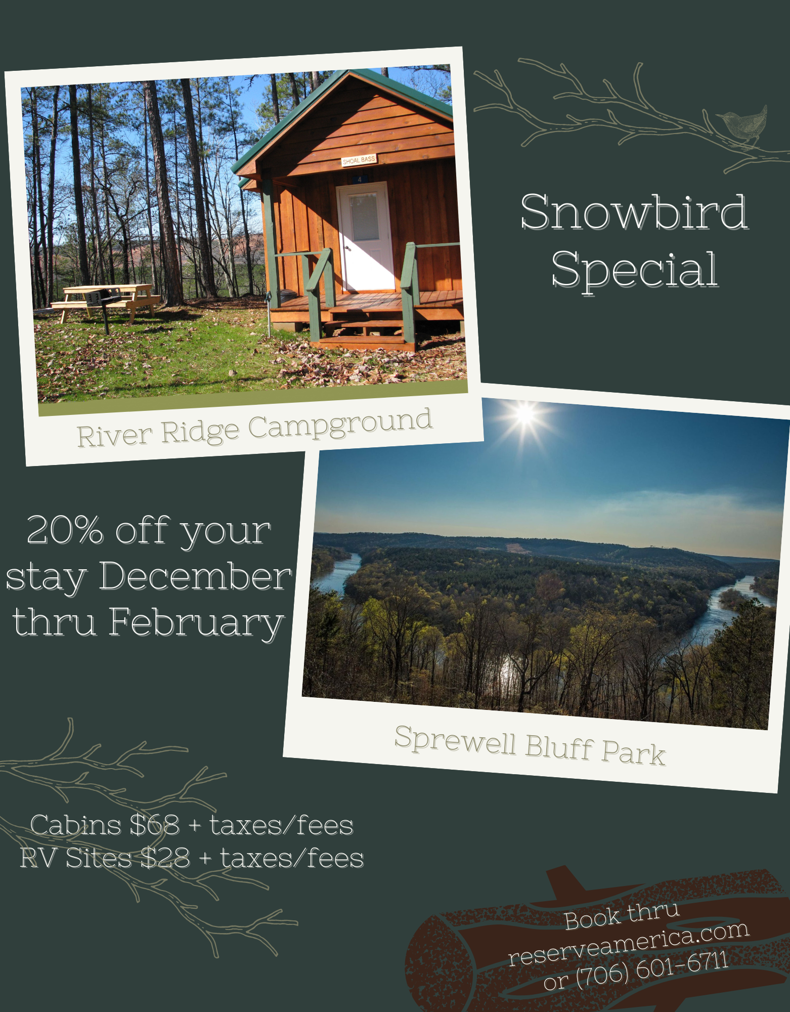 Snowbird Special (8.59 x 11 in)